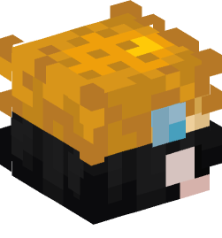 Minecraft head — People