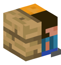 Minecraft head — Decor