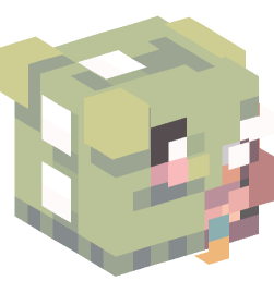 Minecraft head — People