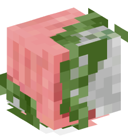 Minecraft head — Creatures