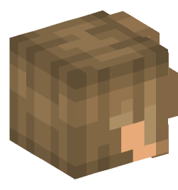 Minecraft head — People