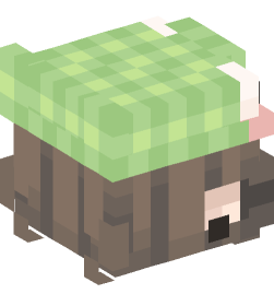 Minecraft head — People