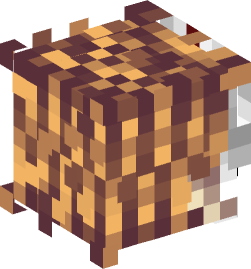 Minecraft head — People