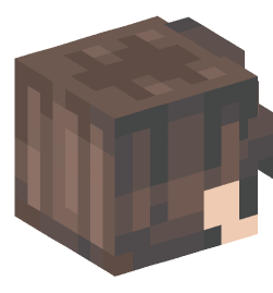 Minecraft head — People