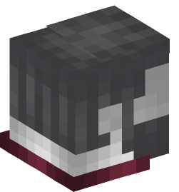 Minecraft head — Decor