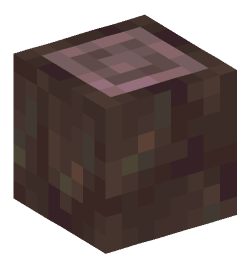 Minecraft head — Blocks