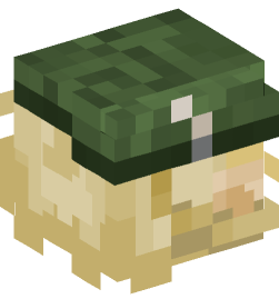 Minecraft head — People