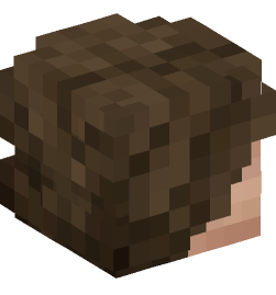 Minecraft head — People