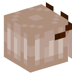 Minecraft head — People