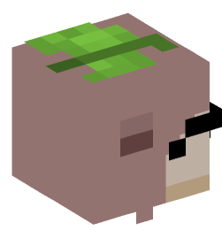 Minecraft head — Animals