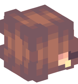 Minecraft head — People