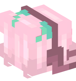 Minecraft head — People