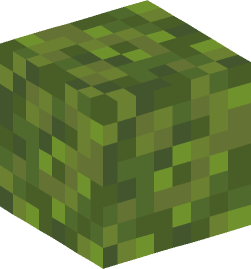 Minecraft head — Blocks