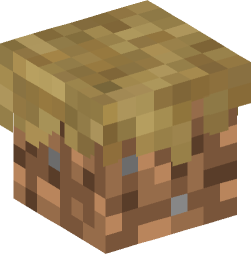 Minecraft head — Blocks