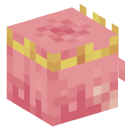 Minecraft head — People