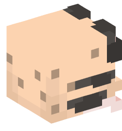 Minecraft head — Animals