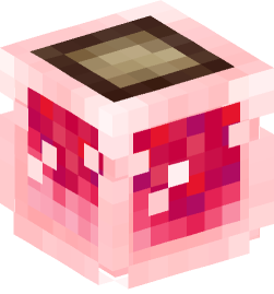 Minecraft head — Decor