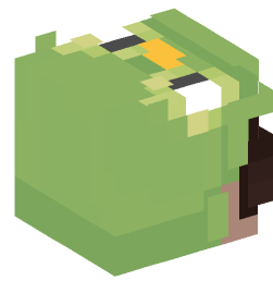 Minecraft head — People