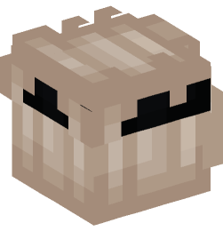 Minecraft head — People