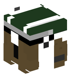 Minecraft head — People