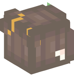 Minecraft head — People