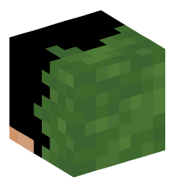 Minecraft head — Creatures