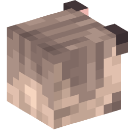 Minecraft head — Animals