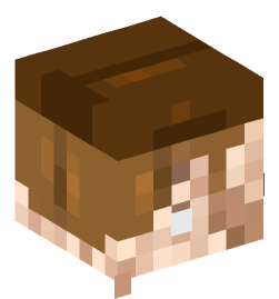 Minecraft head — People