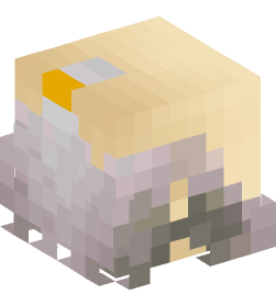 Minecraft head — People