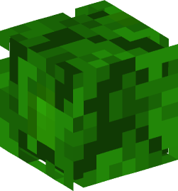 Minecraft head — Plants