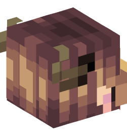 Minecraft head — People