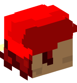 Minecraft head — People