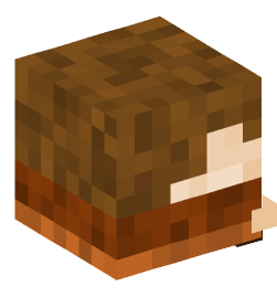 Minecraft head — Decor