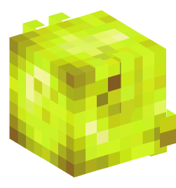 Minecraft head — Creatures