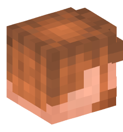 Minecraft head — People