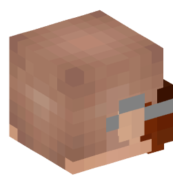 Minecraft head — People