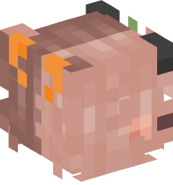 Minecraft head — People