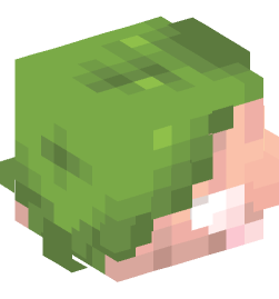 Minecraft head — Creatures