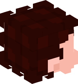 Minecraft head — People