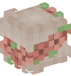 Minecraft head — People