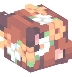 Minecraft head — People