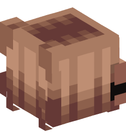 Minecraft head — People