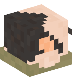 Minecraft head — People