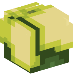 Minecraft head — Decor