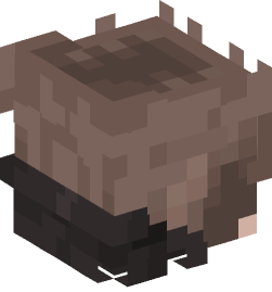 Minecraft head — People