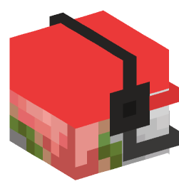 Minecraft head — Creatures