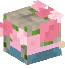 Minecraft head — Decor