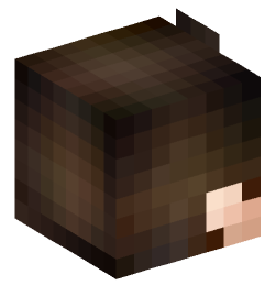 Minecraft head — People