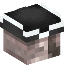 Minecraft head — People