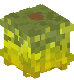 Minecraft head — Plants